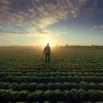 Image from Sub-Zero's "Fresh Food Matters" campaign