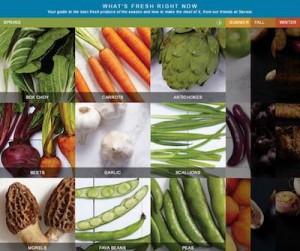 Sub-Zero Fresh Food Saveur