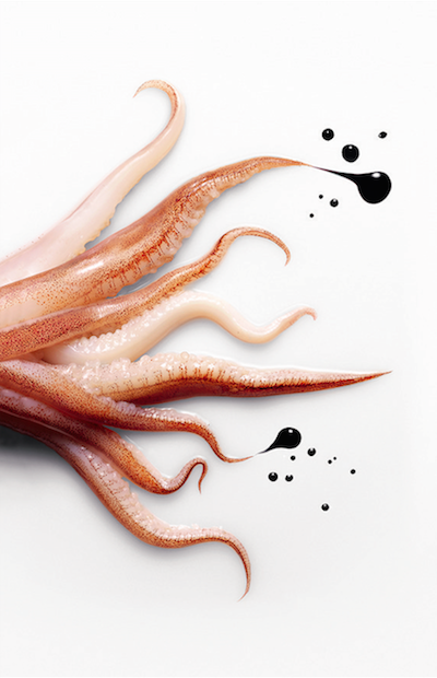 Gaggenau Squid 400