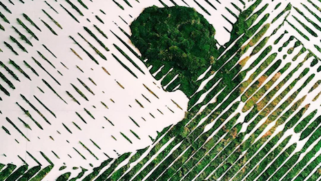 Ethical transparency relies on brand storytelling, education and humanity