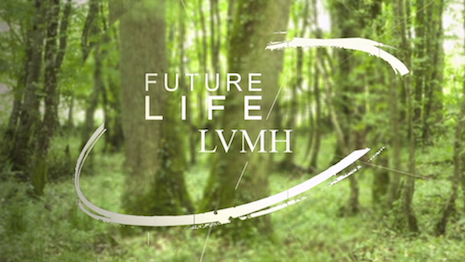 LVMH SETS RESULTS-DRIVEN SUSTAINABILITY GOALS - Positive Luxury