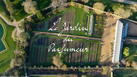 Maison Francis Kurkdjian to open Perfumer’s Garden to public