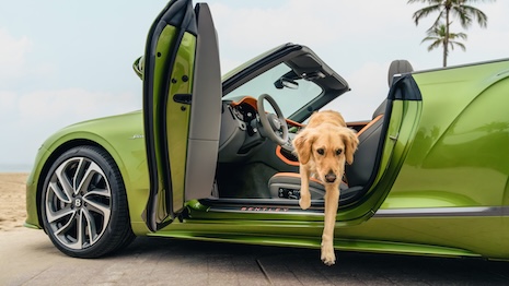 Luxury pet spa joins Bentley Residences amenities suite