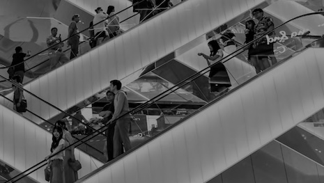 Consumers Demand Transparency From Luxury Brands